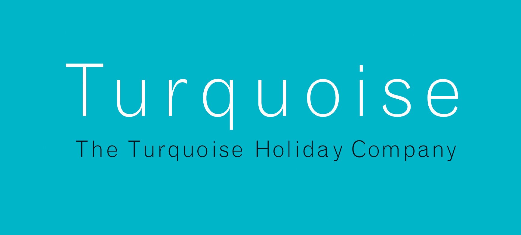 Turquoise_logo_RGB_white_out